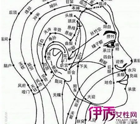 脸部经络图解大图