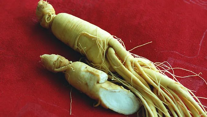 高丽参的副作用