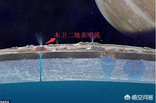 木卫二有海洋吗？有人说木卫二的海洋中存在类似海豚的生命，对吗？