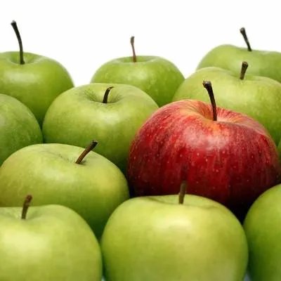 脑血栓偏瘫吃什么好