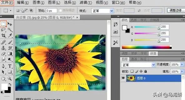 磨砂玻璃效果怎么做？