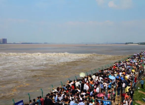 钱塘江大潮的奇在哪里？