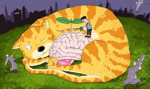 一般侵权行为包括?