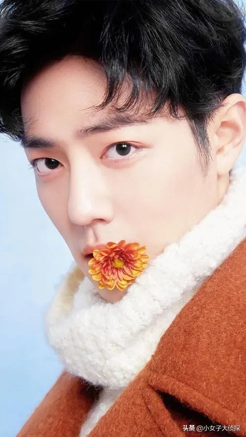 大家有肖战、王一博的壁纸吗，分享一下