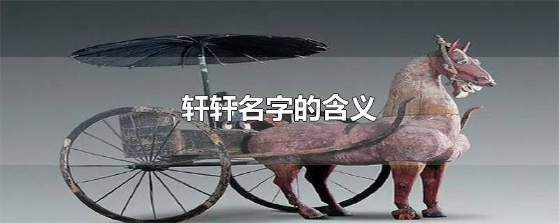 轩轩名字的含义