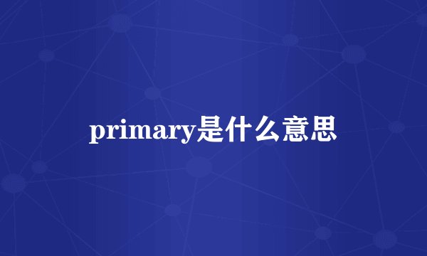 primary是什么意思