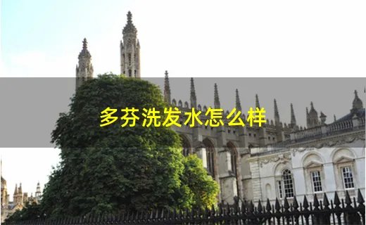 多芬洗发水怎么样
