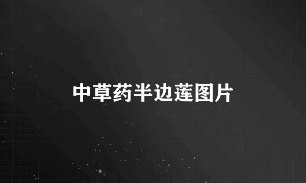 中草药半边莲图片