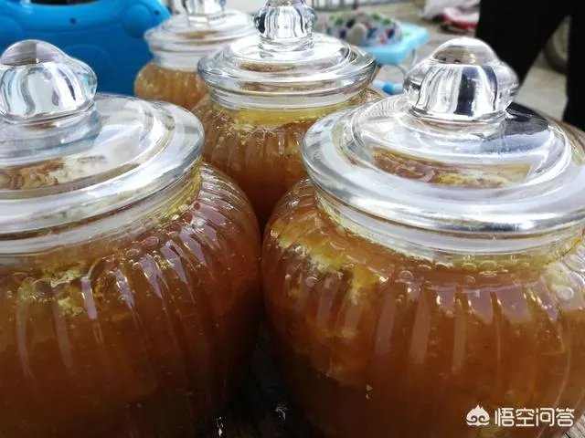 农村人自己养的蜂蜜怎么样？贵吗？