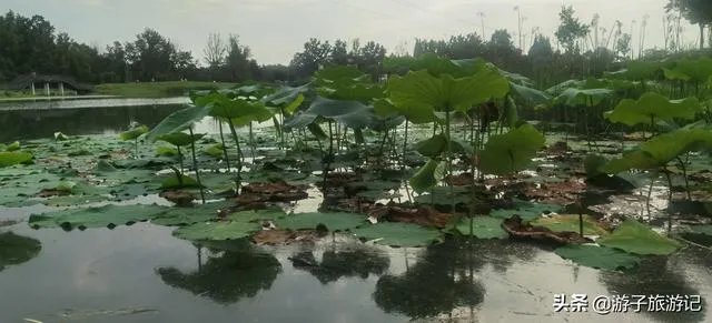 文旅部关于恢复跨省旅游通知下发,你认为今年旅游还会“火〞吗?