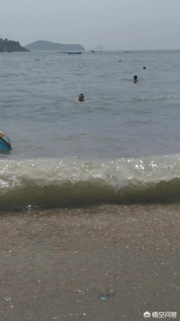 原来身价贵过宝马的藏獒现在是不是一文不值了?为什么?