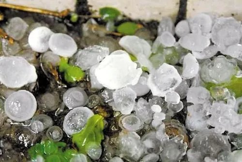 雹的拼音是什么怎么组词