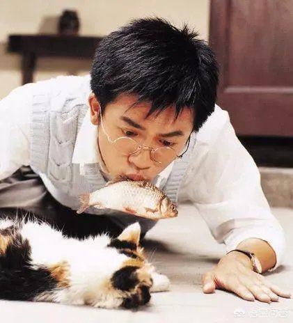 杜飞，为何是千万女人的理想老公​？