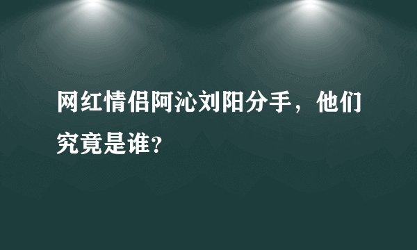 网红情侣阿沁刘阳分手，他们究竟是谁？