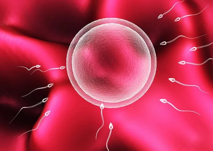 17岁少女1.5万卖卵子险丧命,卵巢糜烂子宫不保,如何警惕此类陷阱?