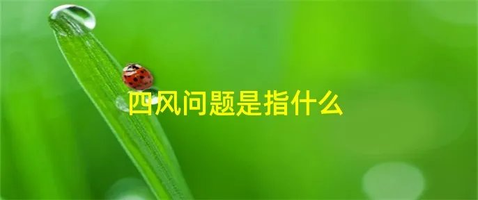 四风问题是指什么