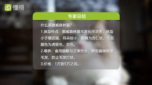 什么是挪威森林猫（图文）