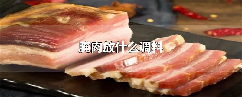 腌肉放什么调料