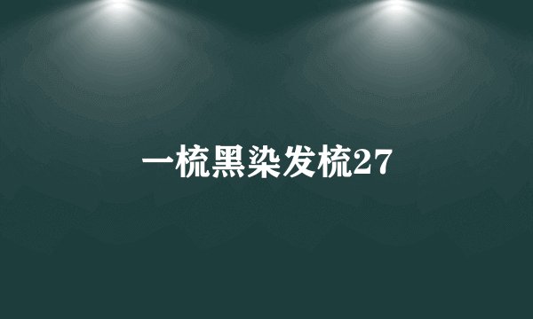 一梳黑染发梳27