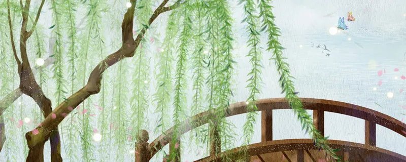 柳树是怎么传播种子的 柳树是怎么传播种子的方法