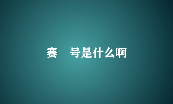 赛尓号是什么啊