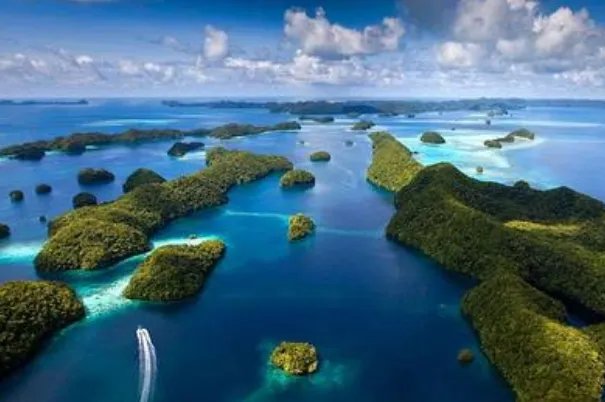 BBC十大必看纪录片排行榜：南太平洋上榜，第七上映最早