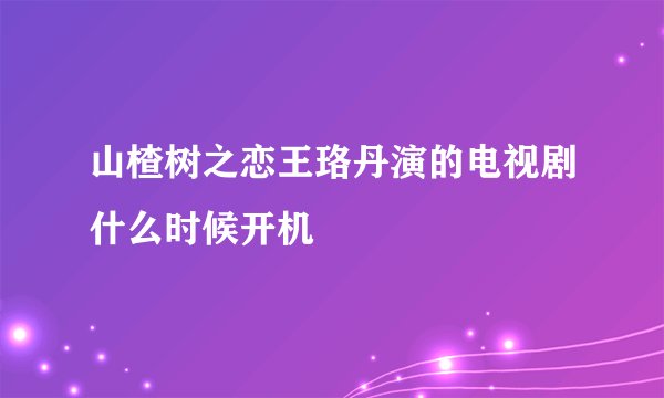 山楂树之恋王珞丹演的电视剧什么时候开机