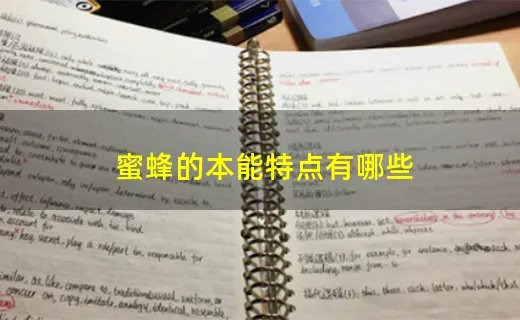 蜜蜂的本能特点有哪些