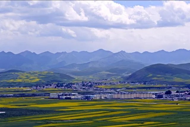 青海门源你去过吗？