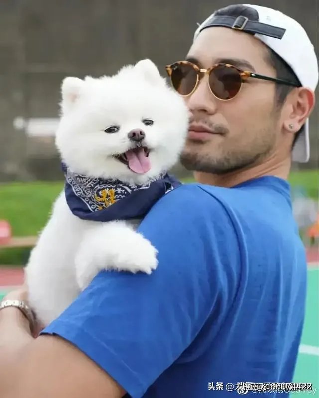 剧版的《何以笙箫默》和《再见王沥川》哪一个更好看呢?