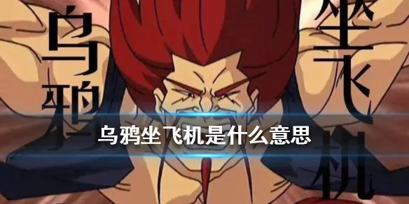 乌鸦坐飞机是什么意思 乌鸦坐飞机梗介绍