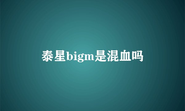 泰星bigm是混血吗