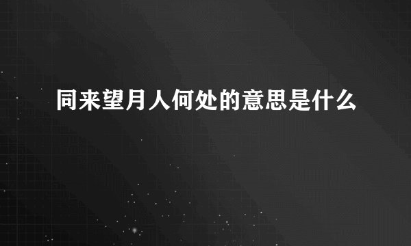 同来望月人何处的意思是什么