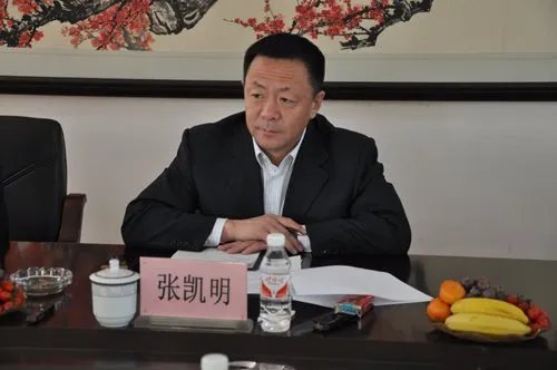 张凯明的吉林省四平市人民政府副市长、党组成员