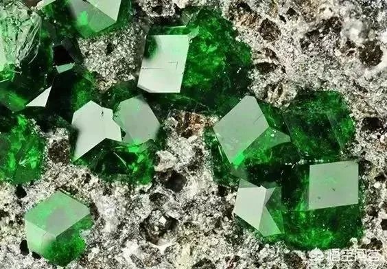 为什么有些中国人钟爱玉石，而有些印度人钟爱宝石？是因为民族性格不同吗？