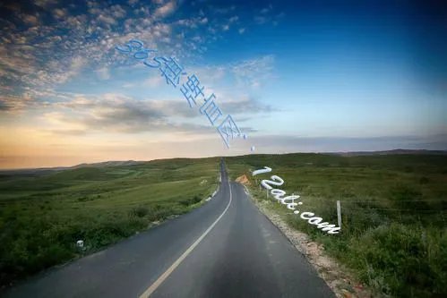 今年干什么最赚钱？