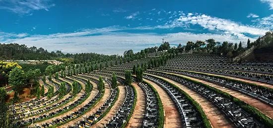 代表建议全面取消经营性公墓