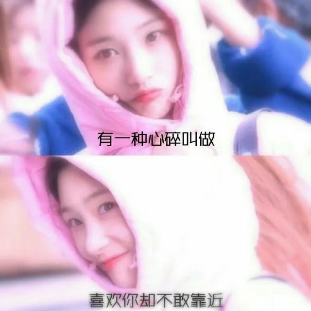 你有哪些喜欢的句子想要分享吗？