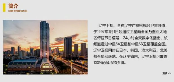 辽宁都市新北方直播