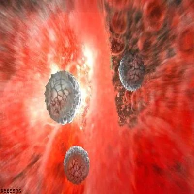 白细胞减少原因有哪些 认识导致白细胞减少的三个原因