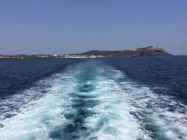 没有黄金段子的无聊世界免费樱花动漫