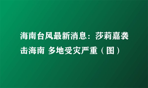海南台风最新消息：莎莉嘉袭击海南 多地受灾严重（图）