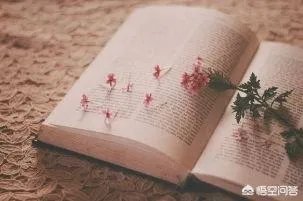 阅读教学金点子怎么写？