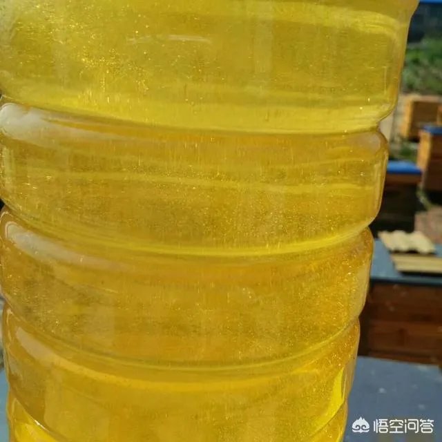 农村人自己养的蜂蜜怎么样？贵吗？