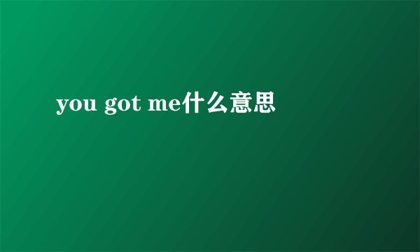 you got me什么意思