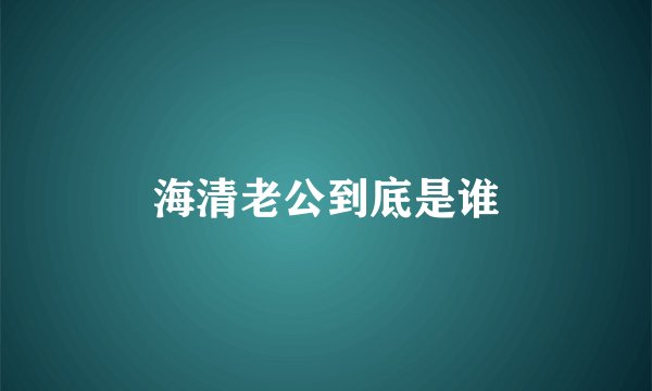 海清老公到底是谁