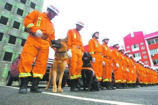 飞豹救援队的介绍