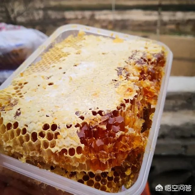 农村人自己养的蜂蜜怎么样？贵吗？