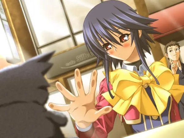 加贺野爱的介绍