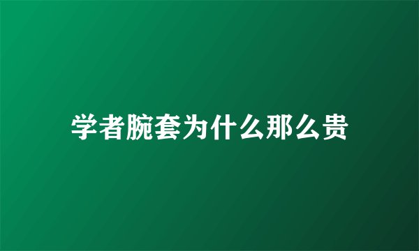 学者腕套为什么那么贵